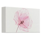 Rituals The Ritual of Sakura Small Gift Set 2023