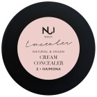 Nui Teint Cream Concealer