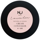 Nui Teint Cream Concealer