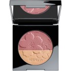 Artdeco Rouge Glow Blusher