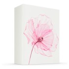 Rituals The Ritual of Sakura Large Gift Set 2023