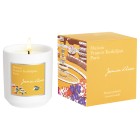 Maison Francis Kurkdjian Home Scents Jasmin D'hiver Candle