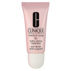 Clinique Lippen Moisture Surge LipTreatment