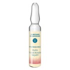 Hildegard Braukmann Professional Hydra Vitamin Komplex Ampulle