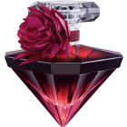 Lancôme La Nuit Trésor Eau De Parfum Intense