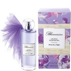 Blumarine Eaux Exuberantes Shine like a Night Eau de Toilette