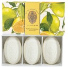 La Florentina Kollektion Bellosguardo Sapone Agrumi di boboli / Soap Boboli Citrus Hand Soap