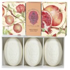 La Florentina Kollektion Bellosguardo Melograno Hand Soap Set