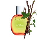 CLARINS Eau des Jardins Spray